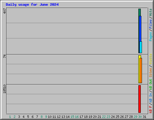 Daily usage for June 2024