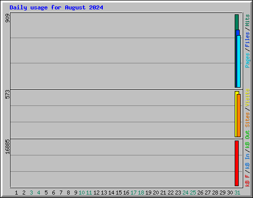 Daily usage for August 2024