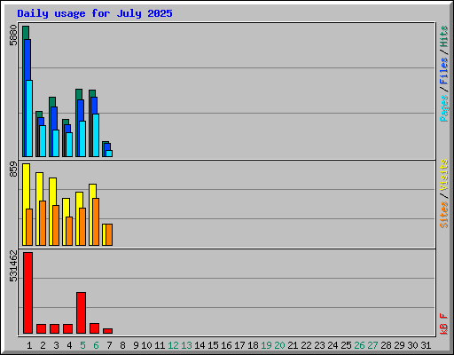 Daily usage for July 2025