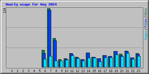 Hourly usage for May 2024