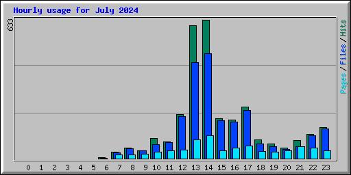 Hourly usage for July 2024