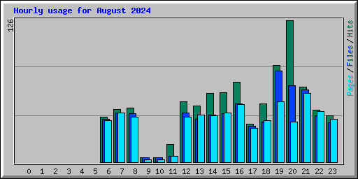 Hourly usage for August 2024