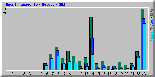 Hourly usage for October 2024